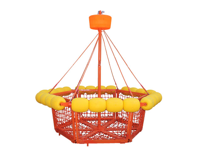 ���̵���